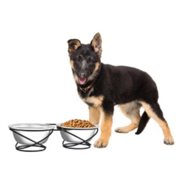 Stainless Steel Raised Food & Water Bowls with Decorative 3.5 in. Tall Stand, Junkiedrogadicto, Mfr#: JU2046531